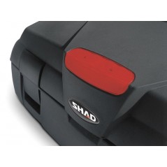 BACK TRUNK