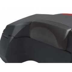 BACK TRUNK