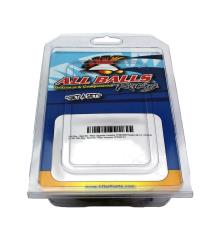 ALL BALLS Carburetor repair kit 1122791