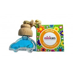 FASEBA Air freshener in stroller 6 ML MINICARS 02170EVAR