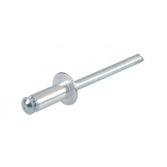 LAMPA Juego de remaches para portamatrícula 50 4,8X12MM LAM59581