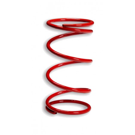 MALOSSI Muelle de contraste 1106974