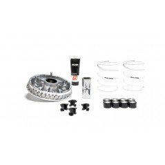 MALOSSI VARIADOR MULTIVAR 2000 - 1119045