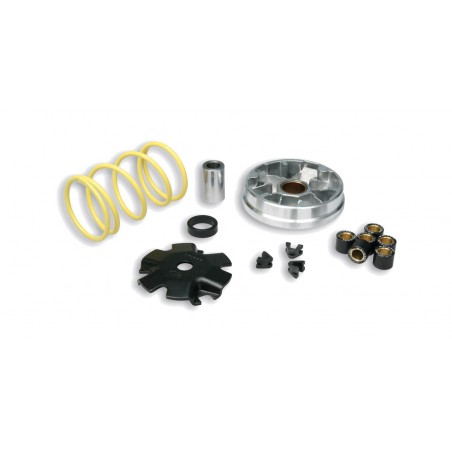 MALOSSI DRIVE MULTIVAR 1126228