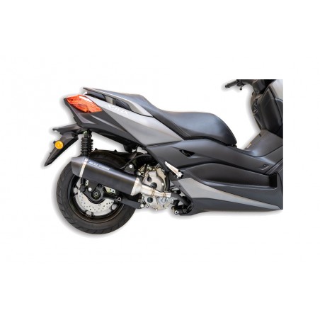 MALOSSI Silenciador RX 1129826