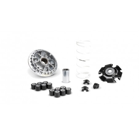 MALOSSI VARIADOR MULTIVAR 2000 1130598