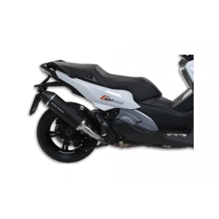 MALOSSI Silenciador WILD LION MW C650 SPORT 746360