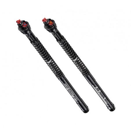 BITUBO Cartuchos de horquilla 1043427