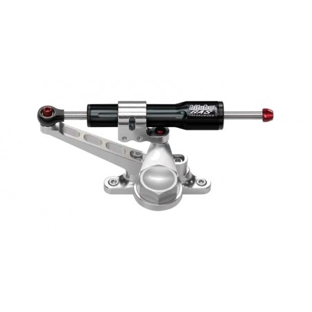 BITUBO Steering damper kit in original position 3031562