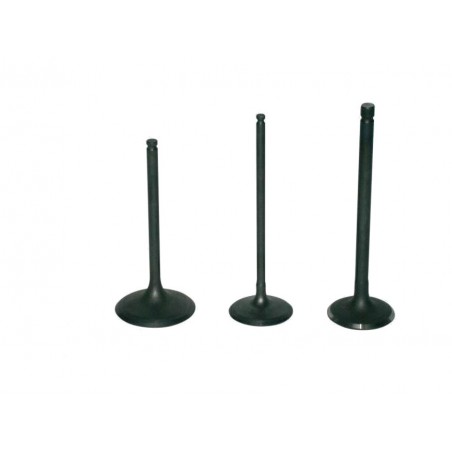 PROX Titanium intake valve 1122619