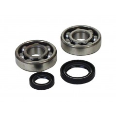 PROX Kit de rodamientos y retenes CIGÜEÑAL 1125657