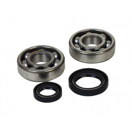 PROX Bearing and seal kit CIGÜEÑAL 1125659