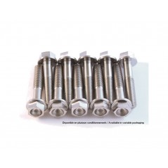 SCAR Titanium engine bolt kit 4460115945