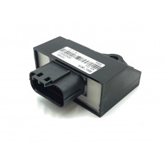 DELLORTO Centralita electrónica original 25KM/H ECU ECS 1126954