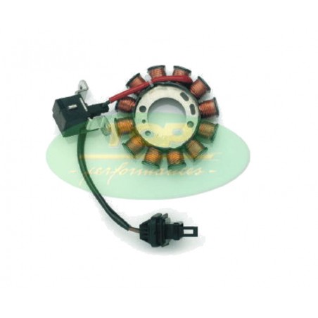 TOP PERFORMANCES Twelve coil stator 1127360