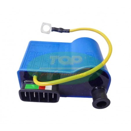 TOP PERFORMANCES centralita electrónica CDI 1127811