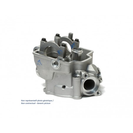 CYLINDER WORKS Culata de motor original OEM 1019019