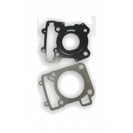 AIRSAL Gasket kit for cylinder and head 1129870