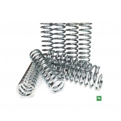 NEWFREN Kit de muelles embrague 1128080