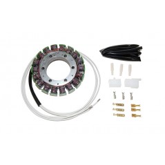 ELECTROSPORT Alternator coil stator S09 1140050