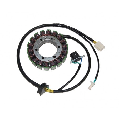 ELECTROSPORT Alternator coil stator S077 1140053