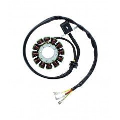 ELECTROSPORT Alternator coil stator ESG 169 1140057