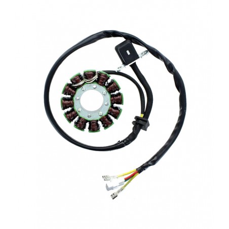 ELECTROSPORT Alternator coil stator ESG 169 1140057