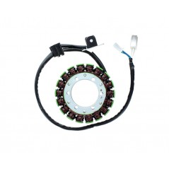 ELECTROSPORT Alternator coil stator ESG 075 1140071
