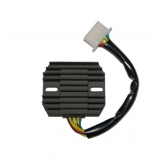 ELECTROSPORT Regulador corriente ESR 290 1140081