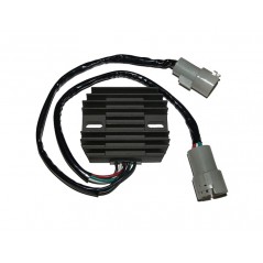 ELECTROSPORT Regulador corriente ESR 442 1140098