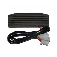 ELECTROSPORT Regulador corriente ESR 750 1140107