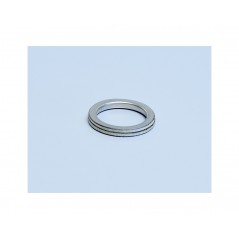 Exhaust gaskets (2520003)
