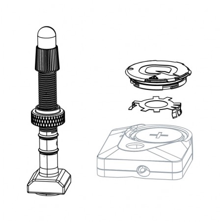 QUARQ Válvula de repuesto para sensor presión con tapa batería TYREWIZ SCHRADE (CON LLAVE VALVULA) (1U) 11.3018.011.001
