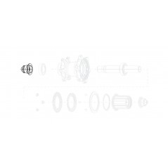 ZIPP Replacement rear hub caps XDR 12X142 COGNITION NSW DISC 11.2018.049.060