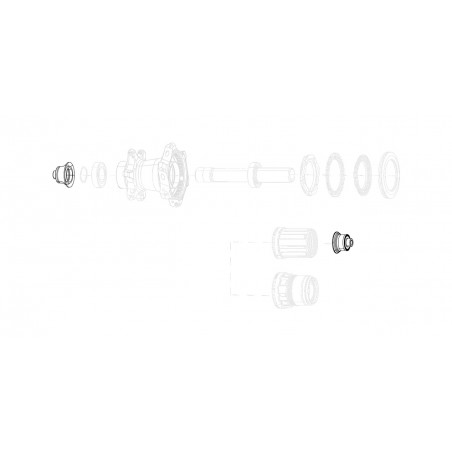 ZIPP Replacement rear wheel hub caps QR PARA COGNITION V2 11.2018.065.008