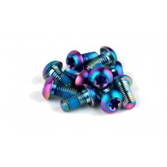 SRAM Kit de tornillos titanio para disco 12 UDS 00.5318.027.001VAR