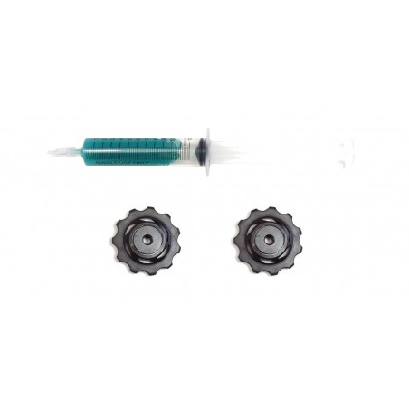 SRAM Replacement of ceramic rollers for change XX 00.7915.016.010