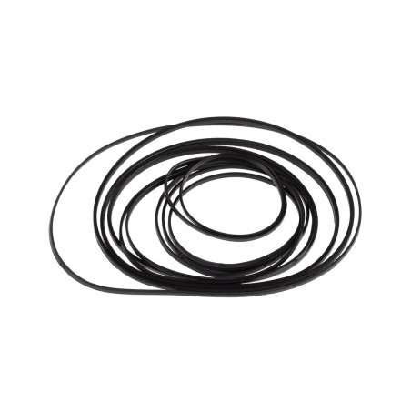 SRAM Elastomer replacement kit RED AXS 10/28 CASSETTE 11.2418.007.002