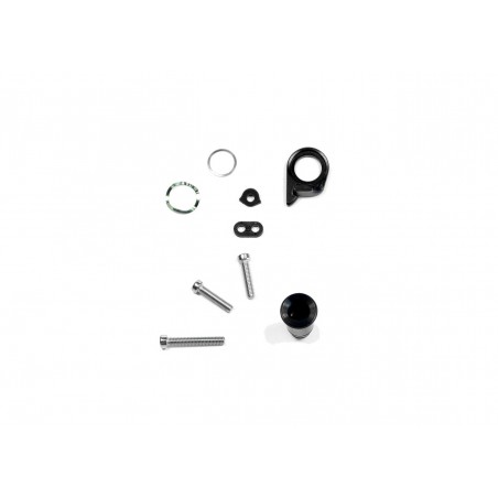 SRAM Kit de repuesto tornillo y topes para cambio GX1 11.7518.055.000