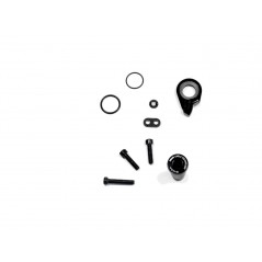 SRAM Repuesto de tornillo para cambio XX1 EAGLE/X01/X1 11.7518.076.010