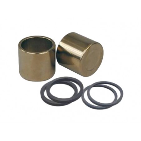 NISSIN Front brake caliper piston kit 1138627