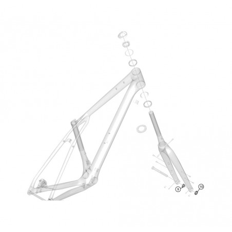 LAPIERRE Bicycle fork nut CROSSHILL KLP00105