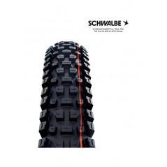 SCHWALBE Cubierta neumatico bicicleta ALBERT EVO 29 TRAIL PRO SOFT RADIAL 29X2.50 B/B-SK 4026495945141