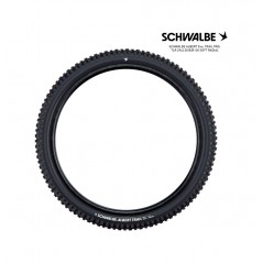 SCHWALBE Cubierta neumatico bicicleta ALBERT EVO 29 TRAIL PRO SOFT RADIAL 29X2.50 B/B-SK 4026495945141