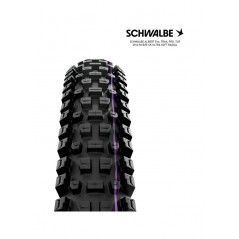 SCHWALBE Tire bicycle ALBERT EVO 29 TRAIL PRO ULTRA SOFT RADIAL 29X2.50 B/B-SK 4026495945561