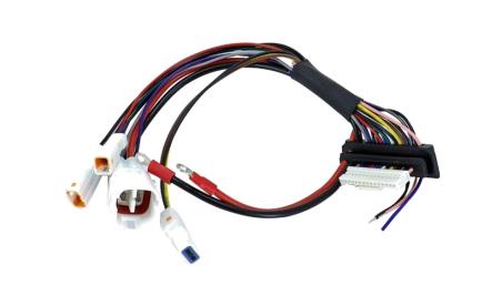 POLINI Cableado placa base EP3 E-BIKE 1109984