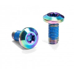 ABSOLUTE BLACK Bicycle bottle cage screw set M5XT25 TITANIO 729126VAR