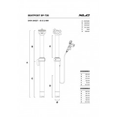 XLC Tija telescópica para bicicleta SP-T20 27.2 400 MM 100 2502069932