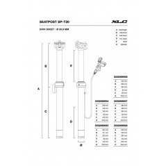 XLC Tija telescópica para bicicleta SP-T20 30.9 404 MM 125 2502069935
