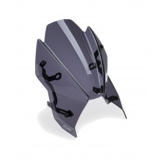 PUIG Windshield screen cupula NEW GENERATION SPORT 22560